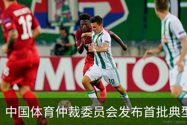 中国体育仲裁委员会发布首批典型案例