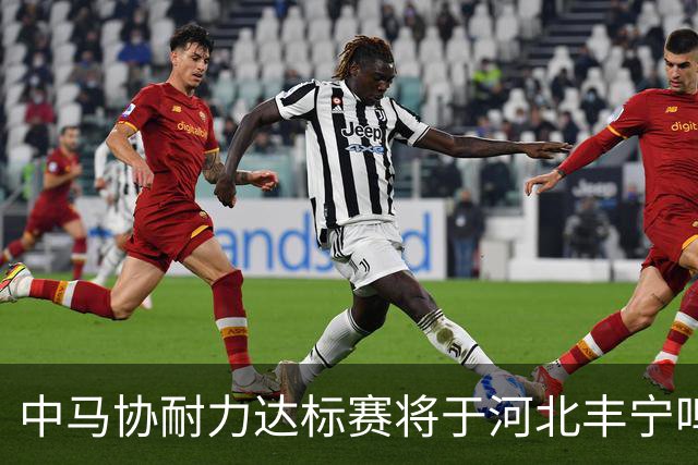 中马协耐力达标赛将于河北丰宁鸣枪 数十家专业马术俱乐部角逐