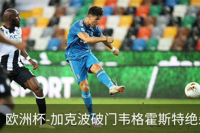 欧洲杯-加克波破门韦格霍斯特绝杀 荷兰2-1波兰